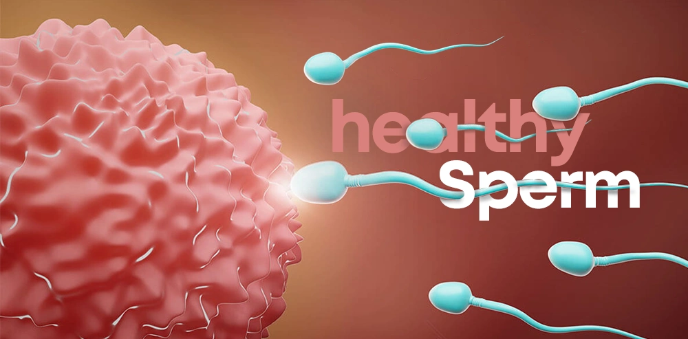 How to Improve Sperm Health